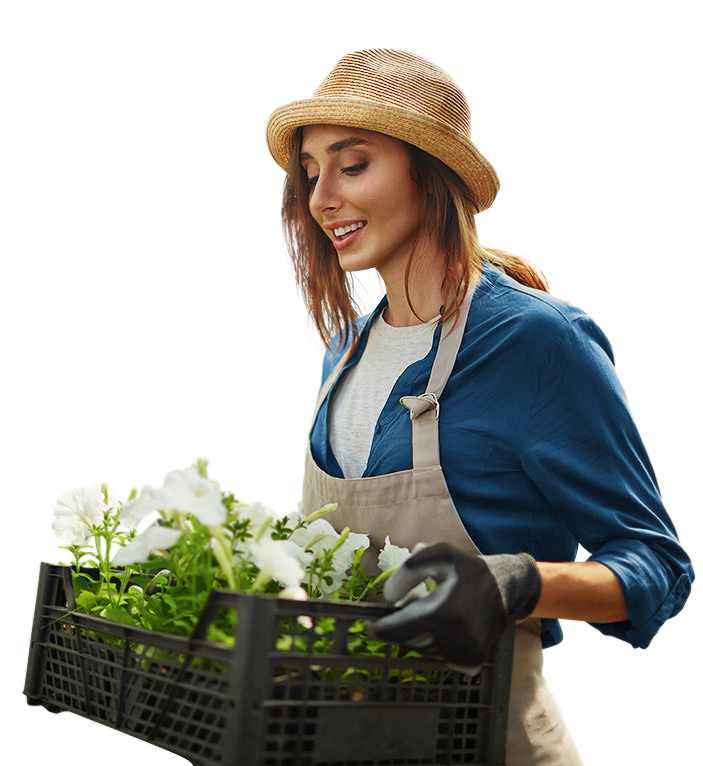 Ландшафтный дизайн<br>от А до Я