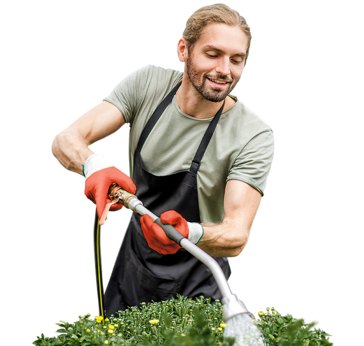 Озеленение и уход<br>за участком 