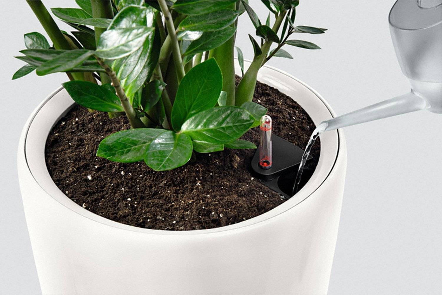 Купить цветочные кашпо в интернет магазине