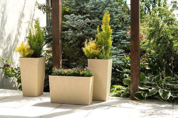 1219007_2.jpeg 1219007_2.jpeg