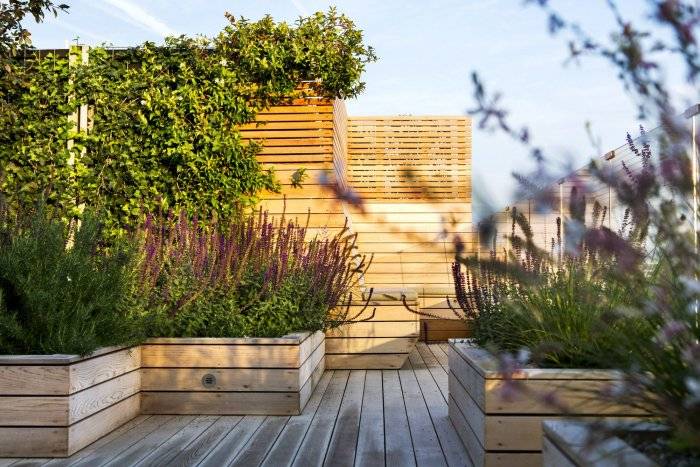 1626614623_31-almode_ru-p-ozelenenie-terrasi-34.jpg 1626614623_31-almode_ru-p-ozelenenie-terrasi-34.jpg