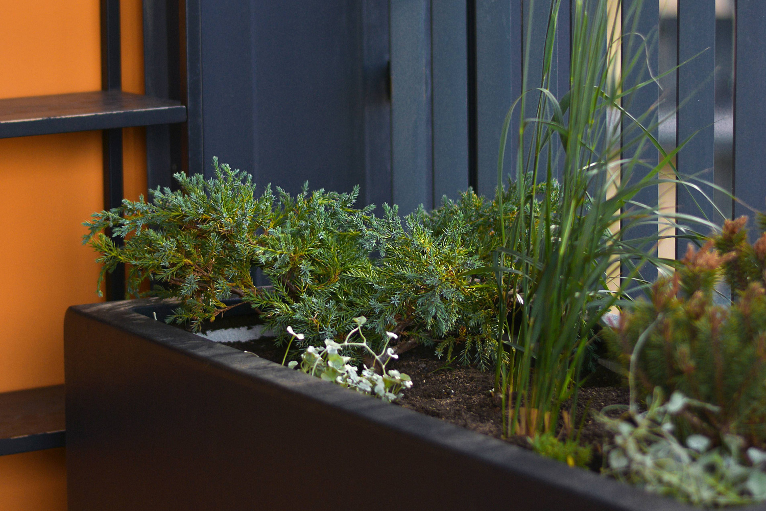 Кашпо Rostini BELLA 90*25*40 антрацит