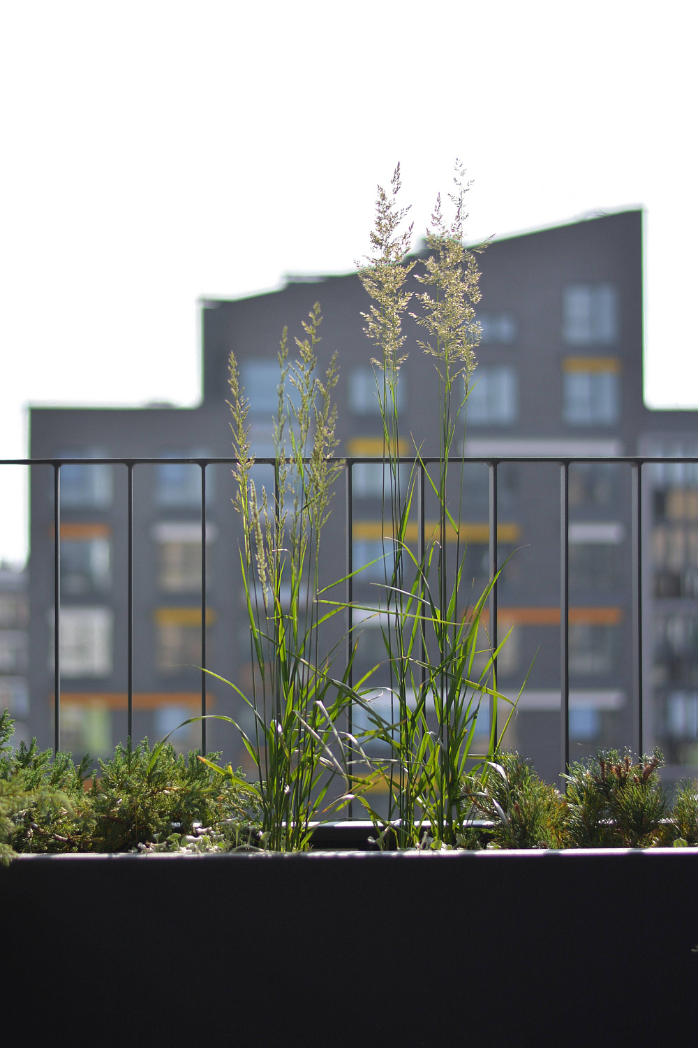 Кашпо Rostini BELLA 90*25*40 антрацит