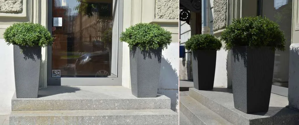 before and after (9).jpg before and after (9).jpg